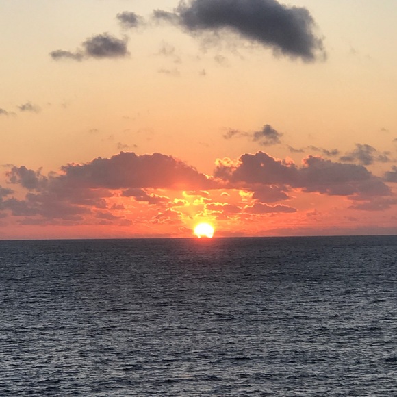 Meet your Posher, Holly - Picture 1 of 1